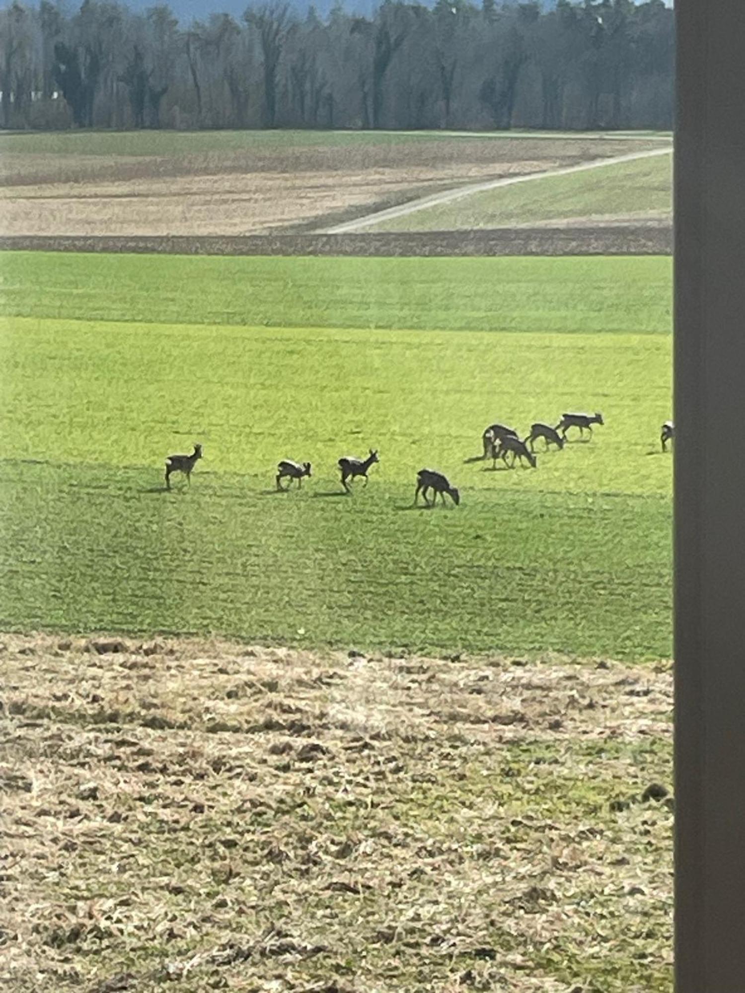 Schoene Unterkunft Naehe Schweiz Gottmadingen Extérieur photo